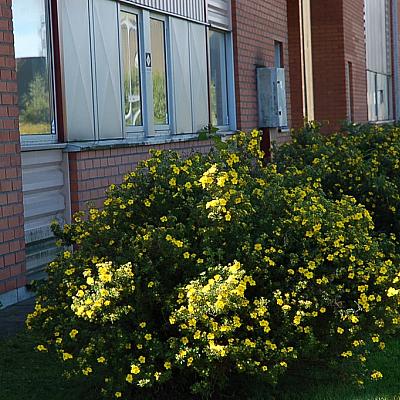 Kontor Partille Industrivgen 2 3Parorbho0Aeh7Nh